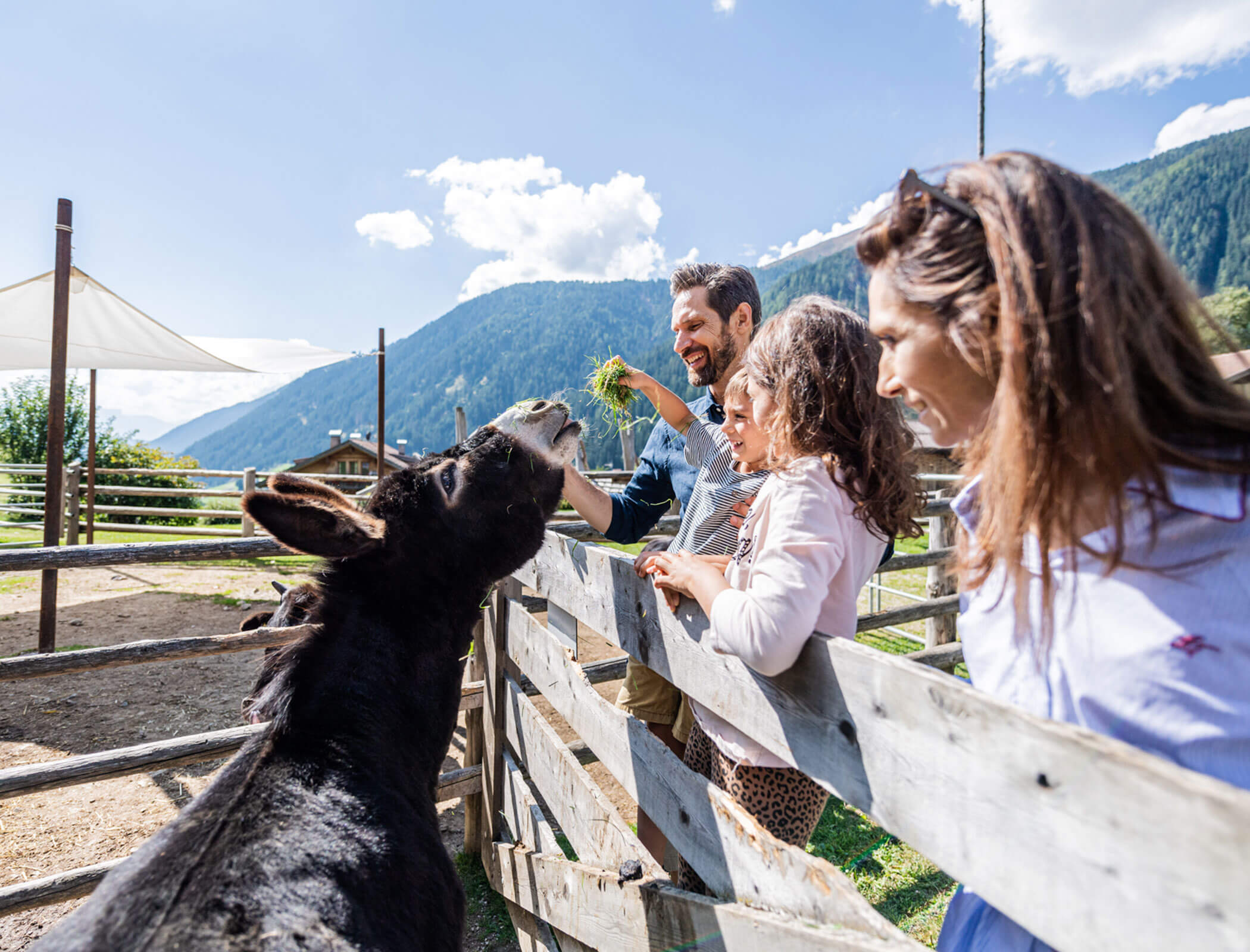 Family feeding donkeys - Hotel Fameli